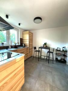 Domek nad Jeziorem Trzechowskim w lesie letniskowy na wsi