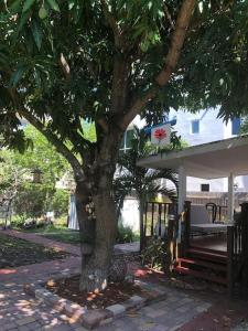 Independent Studio in Little Havana