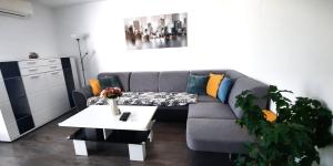 Apartment CITY CENTER s "Free Parking"