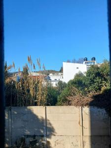 Departamento centrico