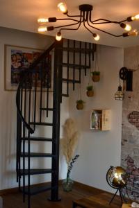 Maisons de vacances Au coeur du marais,Le leonin : photos des chambres