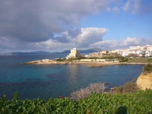 Butterfly House Bed & Breakfast img28