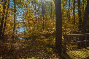 Misty Creek