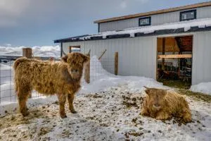 Charming Peoa Casita with Mountain Views - Francis