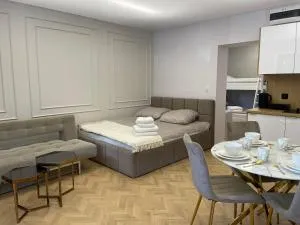 Apartamenty 91 - Bachowice