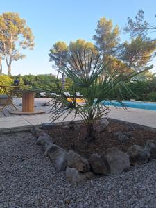 B&B / Chambres d'hotes Villa Sisyphe chambre