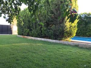 Müstakil bahçe ve havuzlu villa