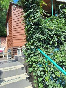 Domek letniskowy 2 os Zacisze