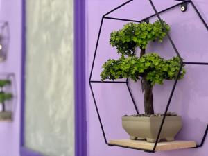 Purple Ultracentral Old Town