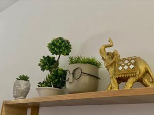 Purple Ultracentral Old Town