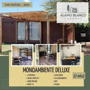 Monoambiente Deluxe San Rafael - Rama Caída