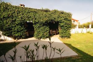 Nas Mar & Twins - Aristea