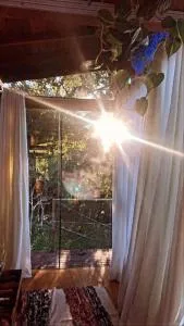 Colina Panzani - Ratones