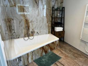 Haus Bergfeld with the view over Dachstein