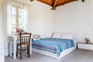 Anemoperasma - Peaceful Stay in an Olive Grove