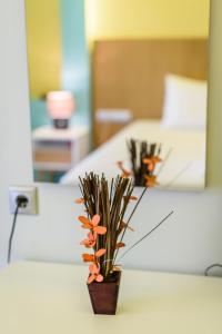 Ionion Beach Apartment Hotel & Spa