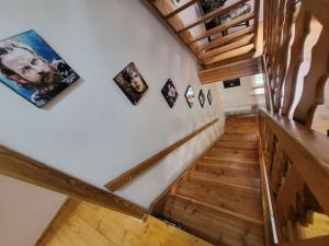 Dračí doupě