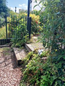 Jasmine cottage-1 King bed room, 40 mins to Cotswolds 90 mins to Oxford and Bath