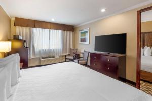 King Room with Sofa Bed - Non-Smoking room in Best Western Plus Orchid Hotel & Suites