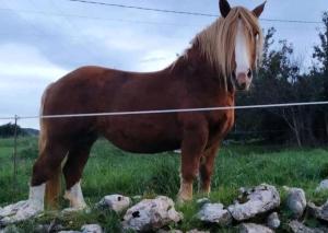 Atico en Ajo Cantabria