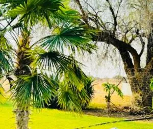 Jobak Farm House - Merinovlakte