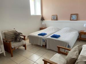 Gîte de caractère au cœur des vignes avec jardin, vélos et équipements bébé - FR-1-306-796
