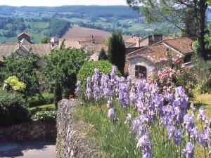 Chalets Chalet in France with Garden Terrace : photos des chambres