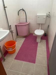 Alisya Homestay