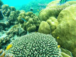 Charming Lipe Beach Resort