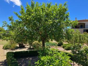 Villas Holiday Home Felines Minervois with Pool : photos des chambres