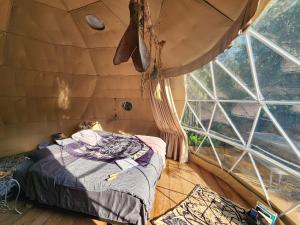 D5 Nordic Nook - 1 King Suite