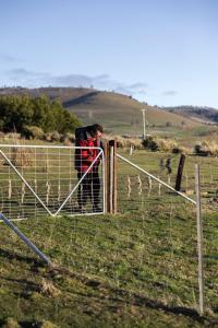 Merino Cottage Meadowbank Lake
