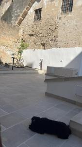 Two-Bedroom Apartment with Garden View