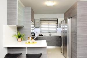 Theros Lux Apartment