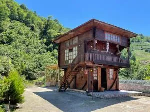 Zadiğa Nayla - Fındıklı