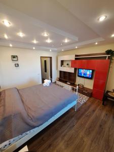 Chic studio apartment