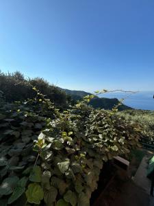 Ca dii Bürsa 2 - HOMY 5 TERRE