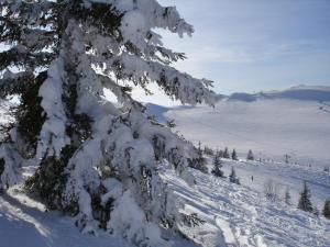 Chalets Les Curtillets : photos des chambres