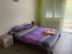 Smestaj Milisavljevic