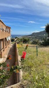 Appartements Studio vue mer a Sant-Ambroggio, Lumio : photos des chambres