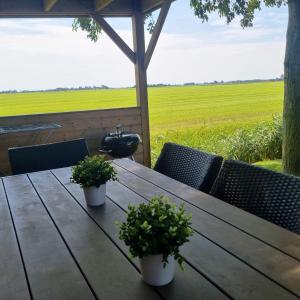 Luxus Familienvilla mit Jacuzzi & Sauna 2