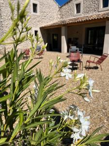 B&B / Chambres d'hotes LE MAS AUX CEDRES - Teritoria : photos des chambres