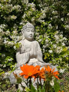 B&B / Chambres d'hotes LE MAS AUX CEDRES - Teritoria : photos des chambres