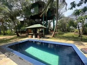 Yala Eco Tree House New - Yala