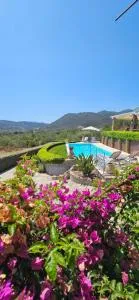 Cuccumiao's An Owls' quiet nest! - Enas