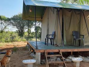 Yala Eco Tree House New