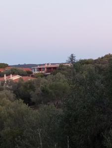 Villetta Cala D'Ambra img42