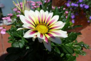 Ferienwohnung Parkresidenz