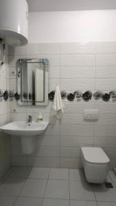 Apartment in Shkoder