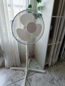 Appartements Couturier lovely appartement proche centre ville : photos des chambres
